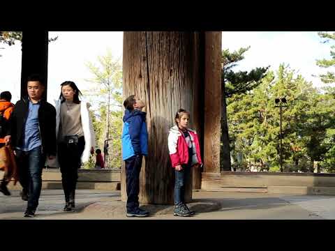 Adrian S Japan Adventure 7 Nara