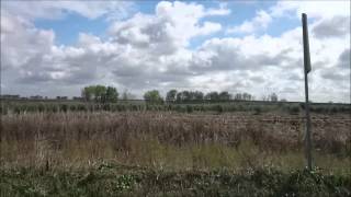 Bubedanas - Alentejo Nossa Terra