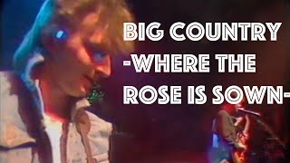 Big Country- Where The Rose is Sown - Live 1984