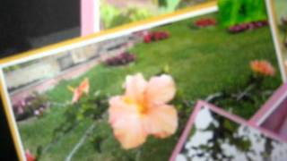 Hailey Flowers Of Both Places