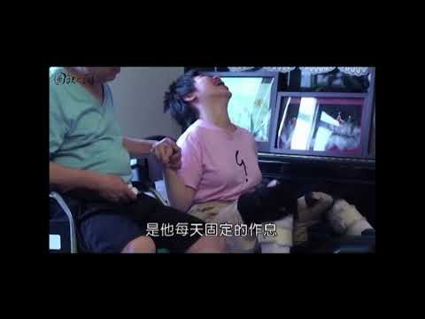 《鵬程萬里》電影預告 - 2011圓缺影展