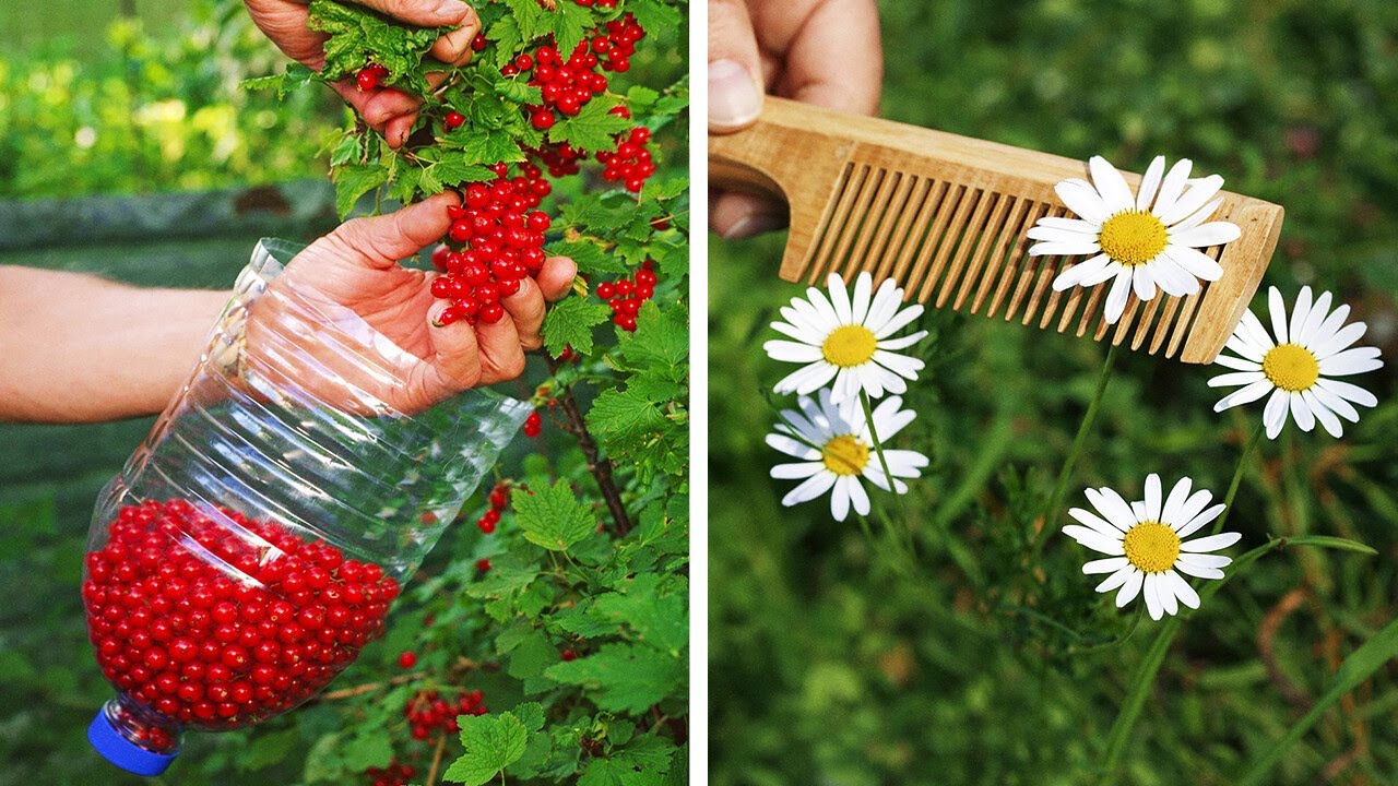 Ultimate Family Garden Secrets