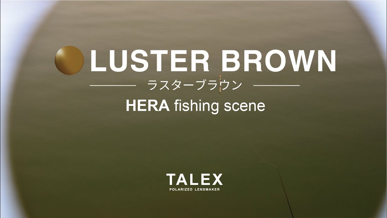 ​未使用TALEX タレックス 純正レンズ ラスターブラウン（FLAT03外し） タレックスレンズ17色を比較！あなたのイメージに合うカラーはどれ