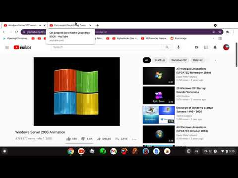 Windows Server 2003 intro has BSOD