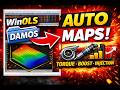 WinOLS Tutorial: How to Import DAMOS File &amp; Unlock All Maps (Easy Guide)