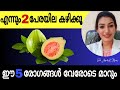വെറും വയറ്റിൽ 2 പേരയില🌿 കഴിക്കുന്നതിന്റെ 5 ഗുണങ്ങൾ |5 Health Benefits Of Guava leaves|Dr Anjaly K M
