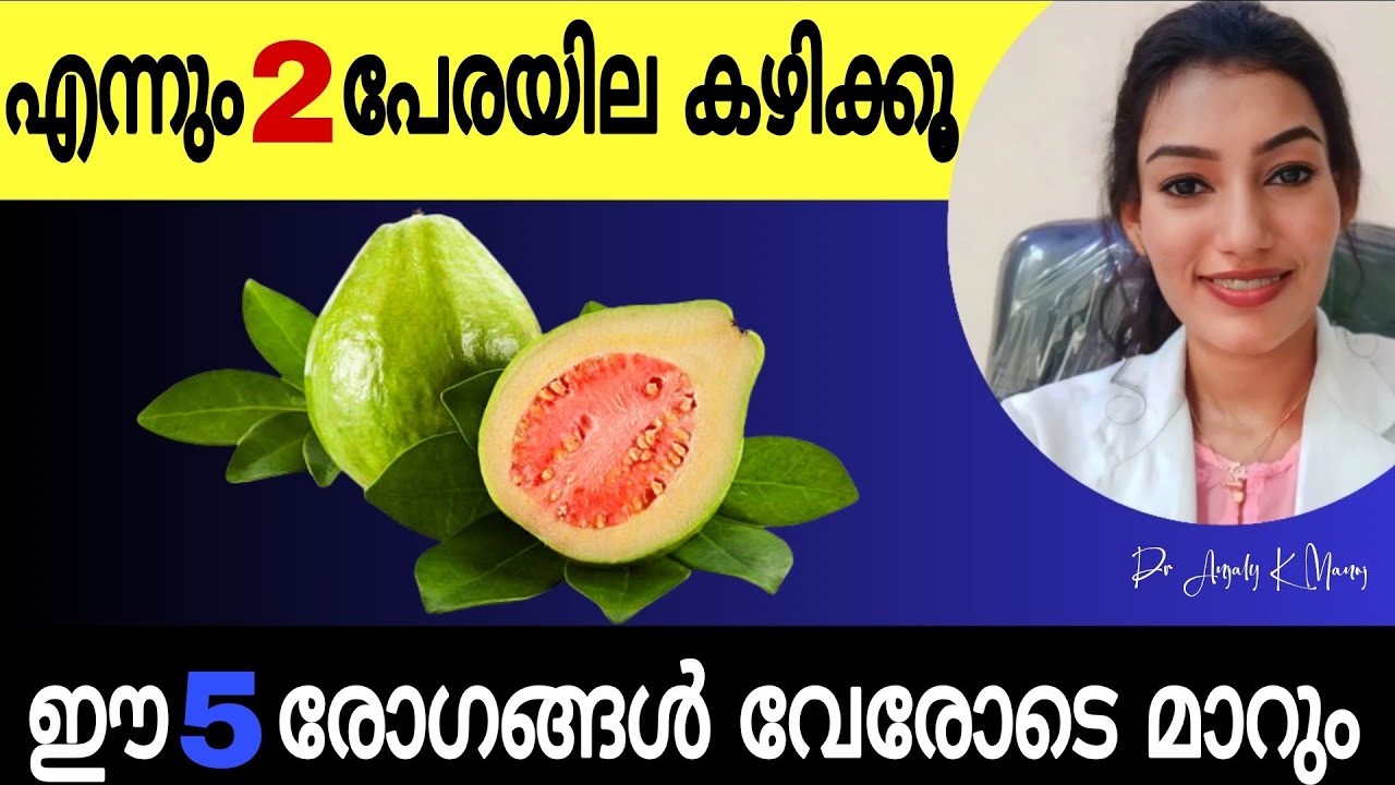 വെറും വയറ്റിൽ 2 പേരയില🌿 കഴിക്കുന്നതിന്റെ 5 ഗുണങ്ങൾ |5 Health Benefits Of Guava leaves|Dr Anjaly K M