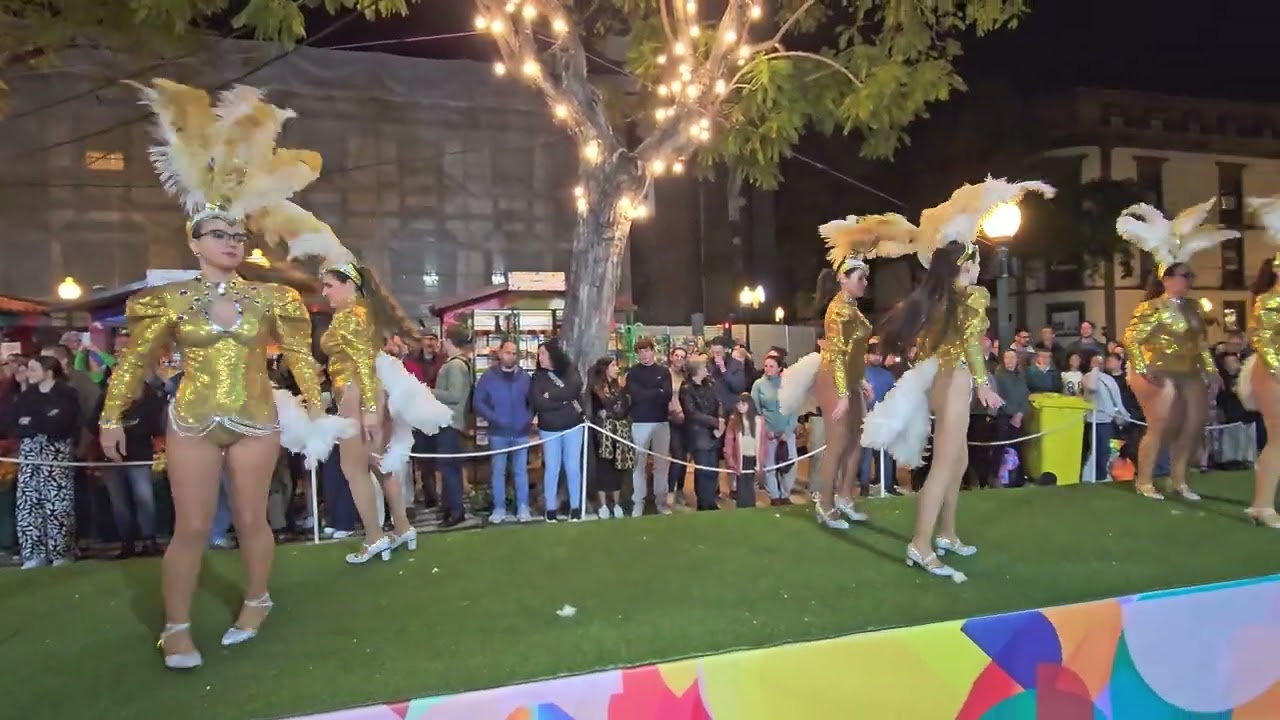 "OS CARIOCAS" Carnaval das Avenidas do Grupo de Samba "OS CARIOCAS"  no Funchal dia 05 de Março 2025
