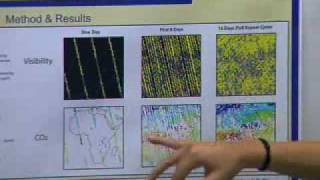 SURE2009: Mapping Global CO2