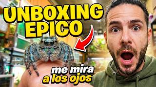 UNBOXING! ARAÑAS SALTARINAS y ESPECIES NUNCA VISTAS de REPTILES y ANFIBIOS 🐍🦎🐸🕷️