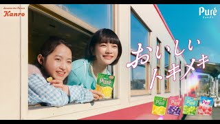 伊藤万理華＆見上愛が初共演！imase書き下ろしの新曲「Soyokaze」がCMソングに　ピュレグミ新CM