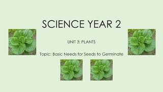 SCIENCE YEAR 2 UNIT 5 PLANTS (BASIC NEEDS FOR SEED TO GERMINATE)