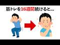 【聞き流し】誰かに話したくなる筋トレとダイエットの雑学　#トリビア#豆知識#筋トレ