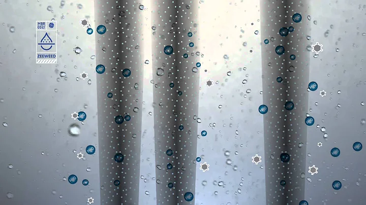 Zeeweed - Modern Technology