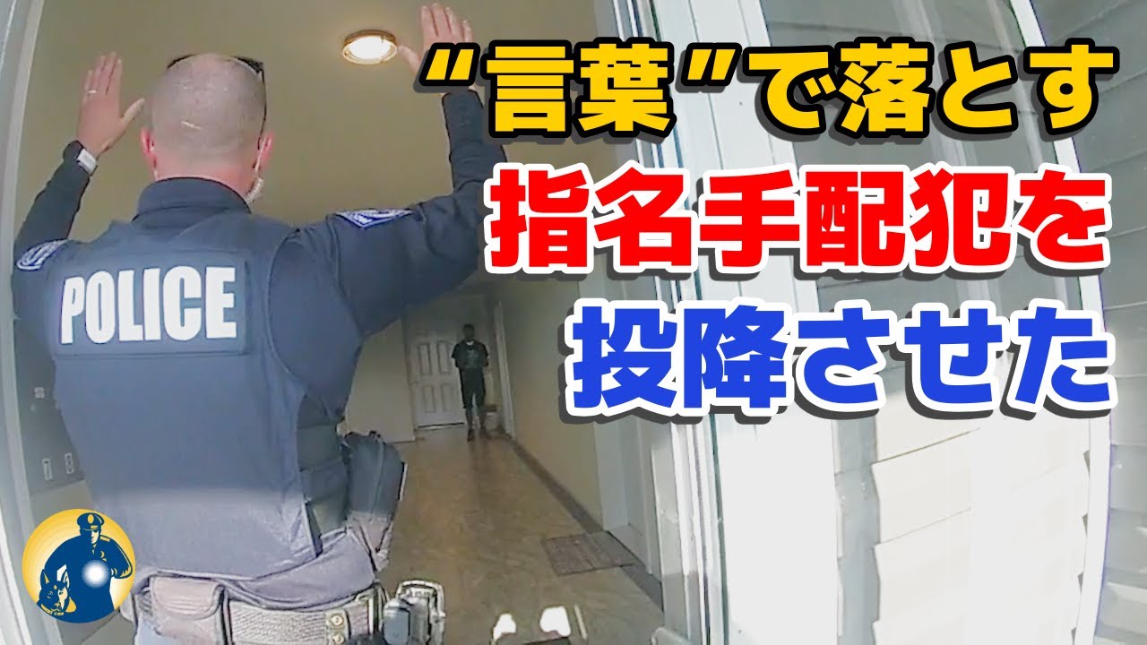 Patient police officer uses negotiating tactics to arrest felony