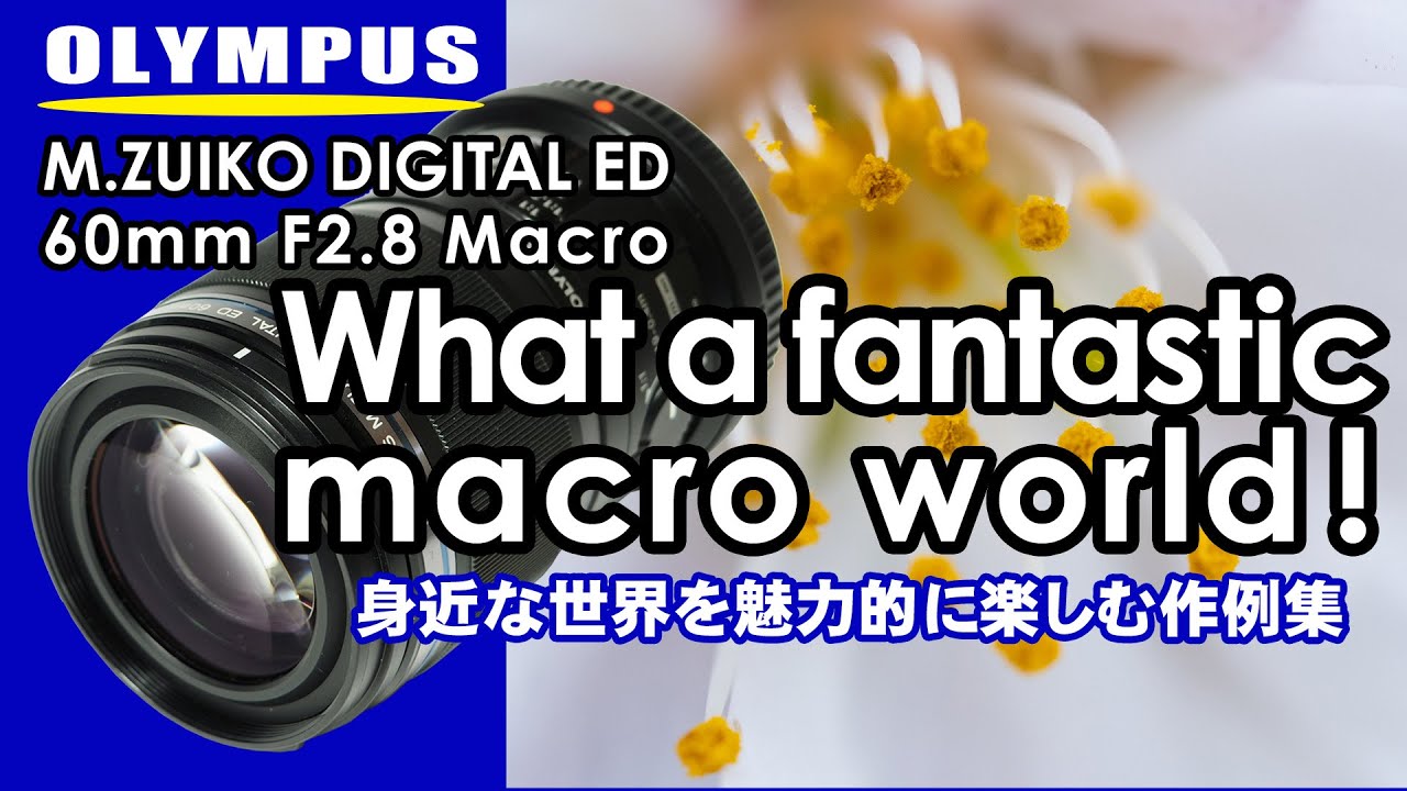 What a fantastic macro world! -OLYMPUS M.ZUIKO DIGITAL ED 60mm F2.8 Macro-