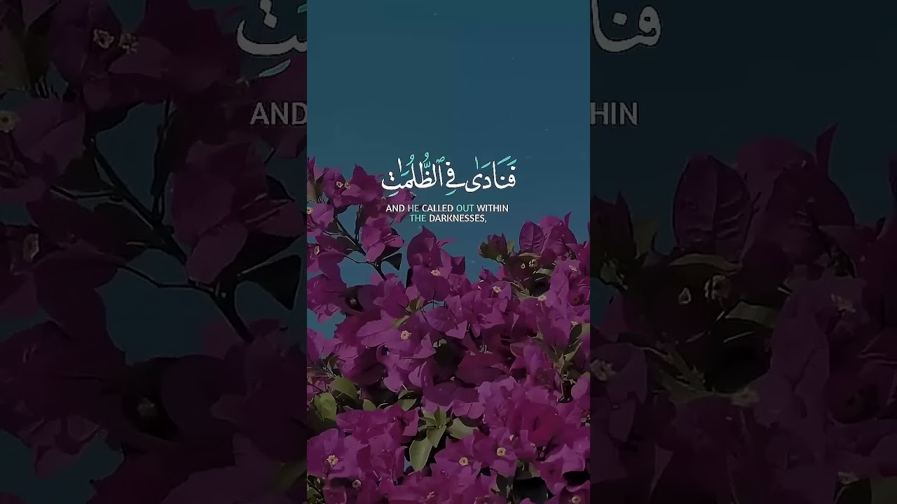 دعاء أنقذ نبي الله من الظلمات | تلاوة مؤثرة للشيخ عبد الباسط