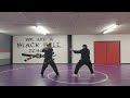 The blade decides the Kamae