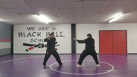 The blade decides the Kamae