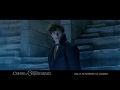 Animali Fantastici: I Crimini di Grindelwald - SIDE 15"