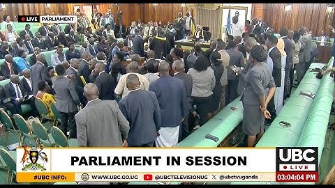 PARLIAMENT ON FIRE: LOP JOEL SSENYONYI RAISES MPs INTO THE NATIONAL COFFEE(AMENDMENT)BILL 2024 FIGHT
