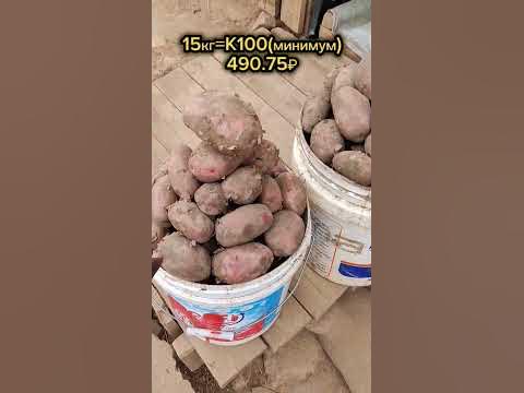 Сколько стоит картошки 🥔 в ЗАМБИИ #африка #food - YouTube