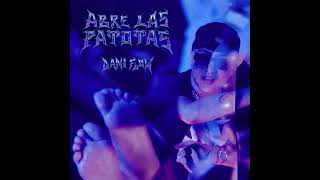 ABRE LAS PATOTAS - Dani Flow (Clean Version)