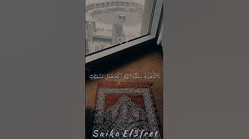 الشيخ ياسر الدوسري ايه الكرسي بصوت جميل جداً يريح قلبك قرآن كريم ♥🍃