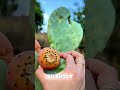 Tough Times Fruit, Desert Bloom Secret, Strong People Still Grow