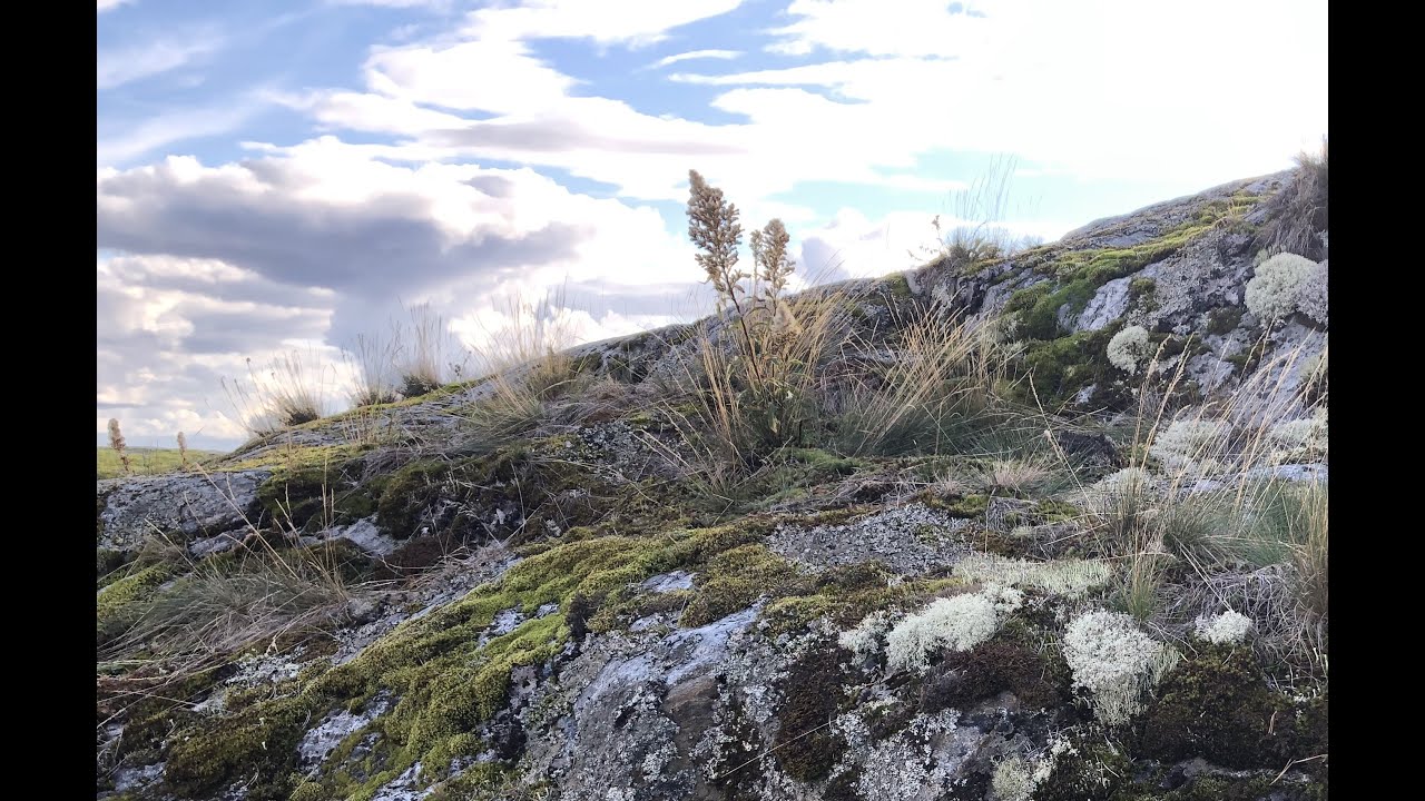 Там, где кукует кукушка - YouTube