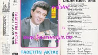 Tacetti̇n Aktaç - Tamara Resimi