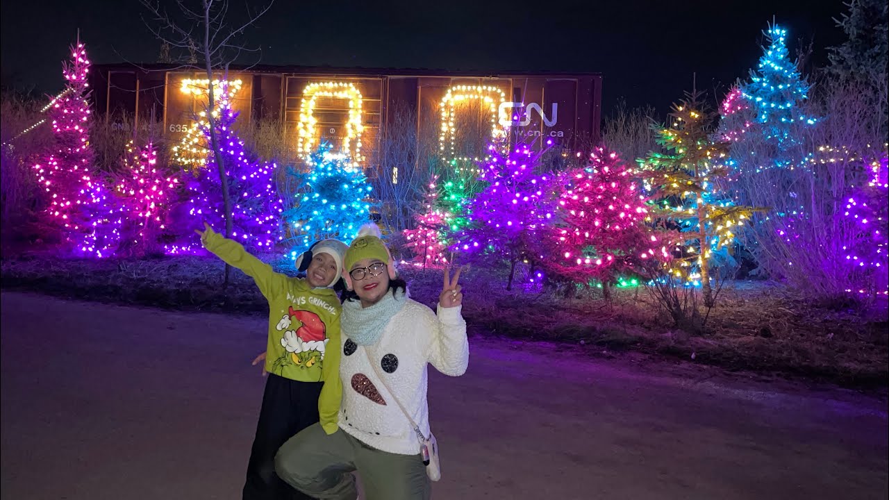Zoo Lights at Assiniboine Zoo December 8, 2023 YouTube