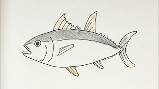 簡単イラスト マグロ編 描き方 Youtube