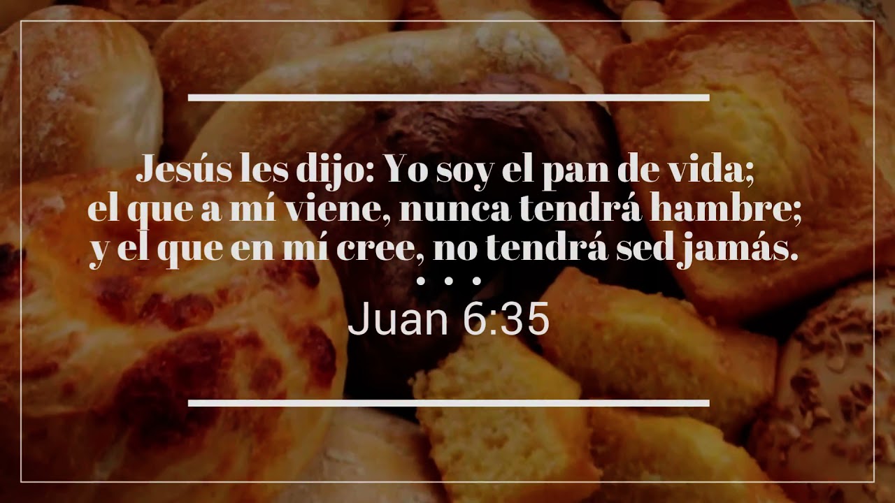 Jesús les dijo: Yo soy el pan de vida; el que a mí viene, nunca tendrá