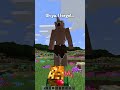 Types of Minecraft Mods