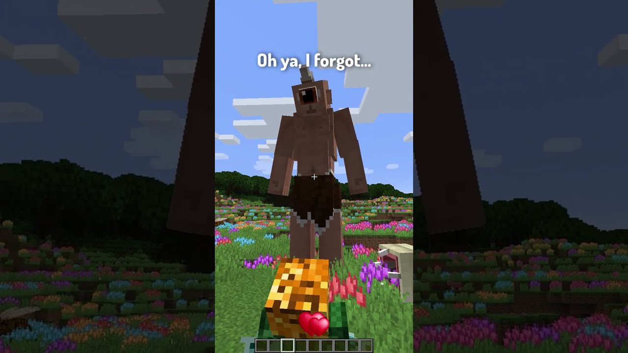 Types Of Minecraft Mods