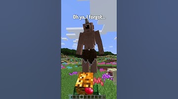 Types of Minecraft Mods