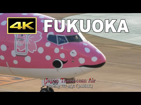 4K] 福岡空港 パイロットさん達からのお手振り / Pilot wave