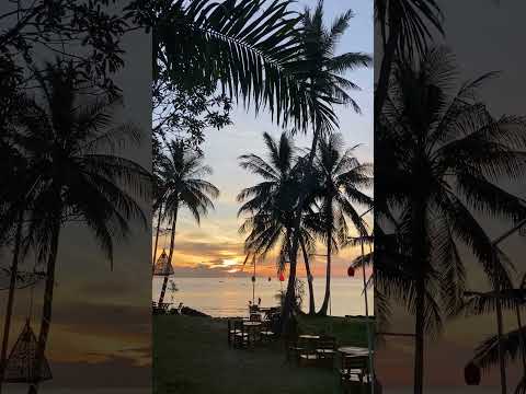 'Tropical Beach Sunrise' #аманн #нина #нинааманн #аманн #нина #нинааманн #нинаютубе #нинаютубе