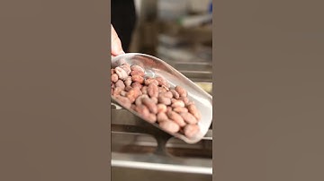 Cracking and winnowing roasted cocoa beans at KAICAO bean to bar chocolate factory Madrid