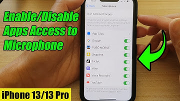 iPhone 13/13 Pro: How to Enable/Disable Apps Access to Microphone