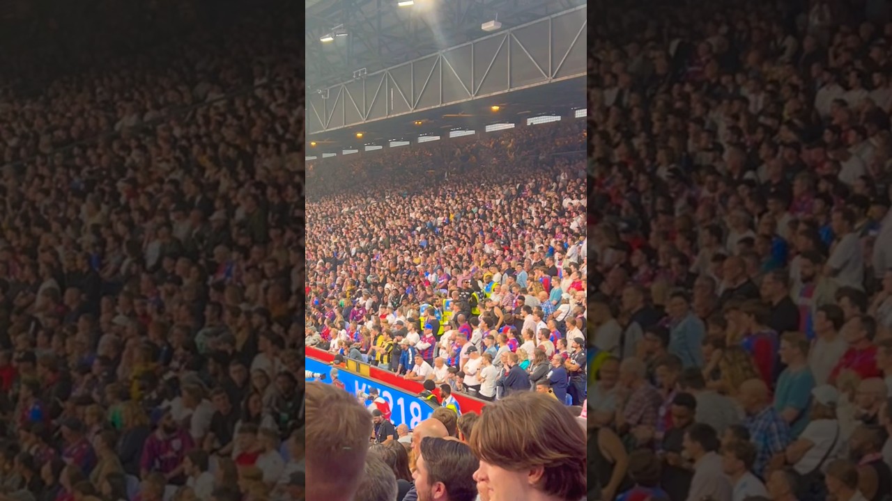 #manchesterunited fans getting kicked out at #crystalpalace 😂 #football #fans #cpfc #mufc #epl