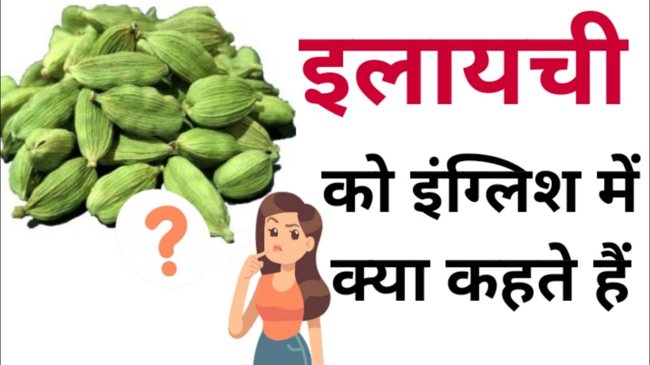 Elaichi Ko English Mein Kya elaichi-ko-english-mein-kya