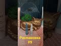 💥PAYOT Advent  Calendar. ОТКРЫВАЕМ ВМЕСТЕ. №9  Жанна Фетисова #косметика #адвенткалендарь #payot