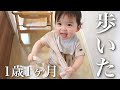 【1歳1ヶ月】立っちが出来たと思ったら…もう歩いちゃった娘!!【子育て】
