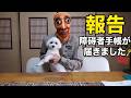 【悲報じゃない】障害者手帳3級を取得しました。実はメリットだらけだった件（発達障害/ADHD）