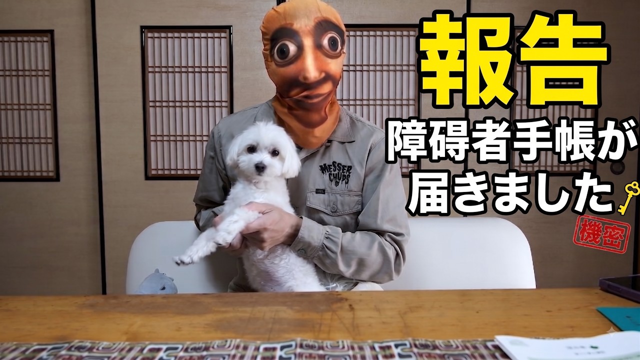 【悲報じゃない】障害者手帳3級を取得しました。実はメリットだらけだった件（発達障害/ADHD）