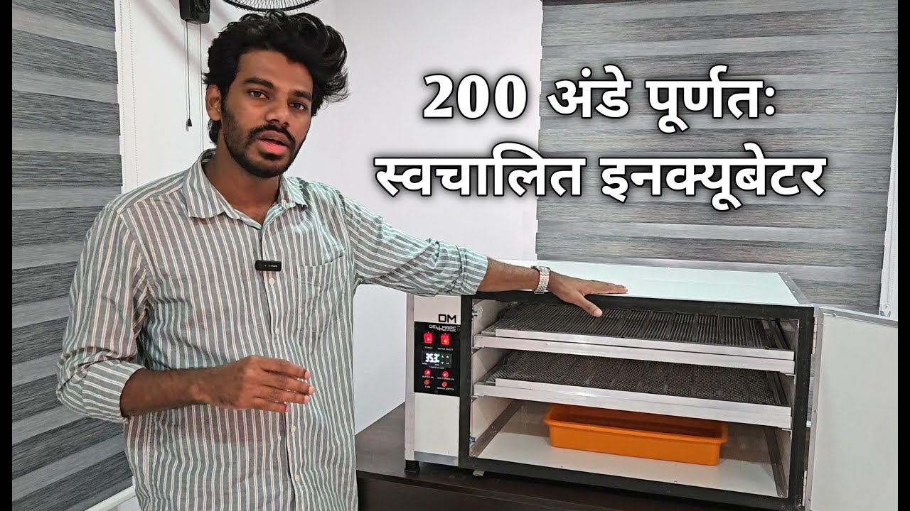 200 Egg Incubator from Dellmarc, HighQuality Incubator, Made in India 