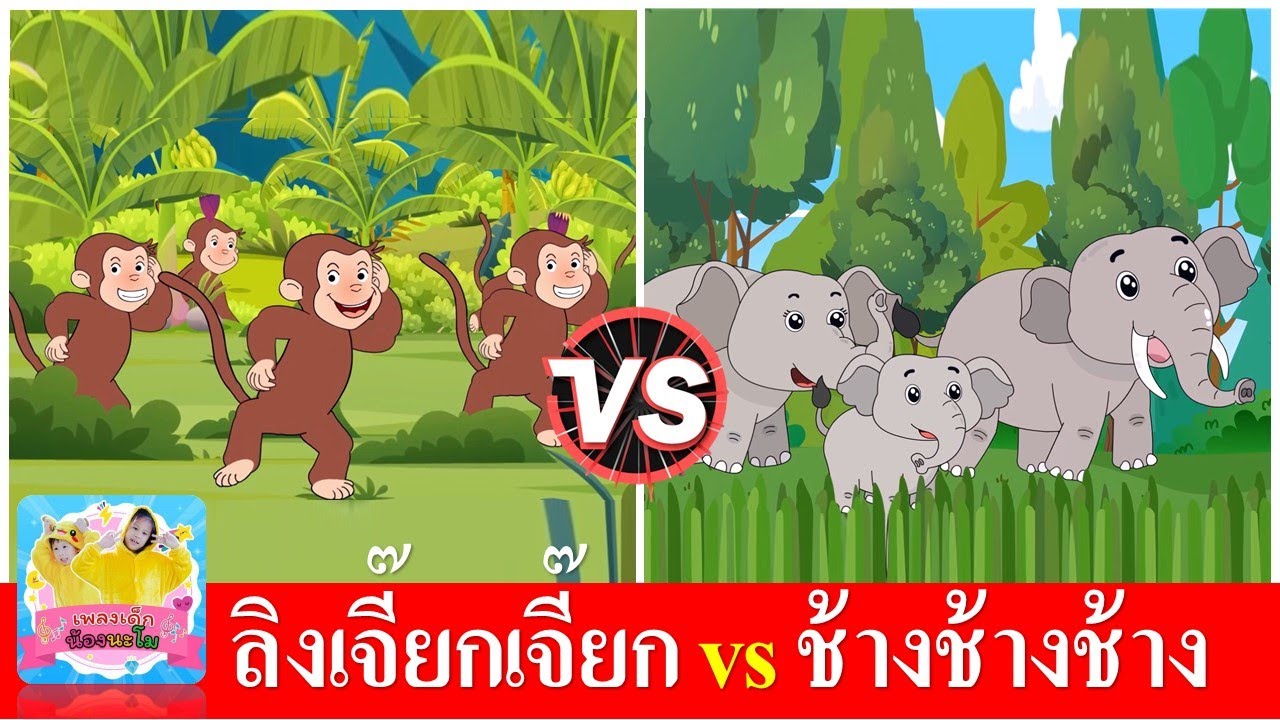 ลิงเจี๊ยกเจี๊ยก vs ช้างช้างช้าง