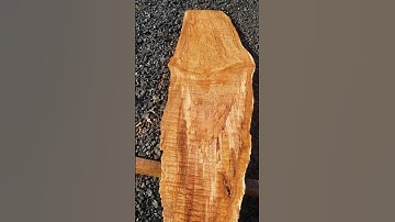Quilted +curly +spalted maple slab.  orcedar.com Have slabs wood with free shipping.